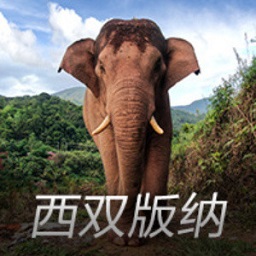 致命女人，终于再度出击了